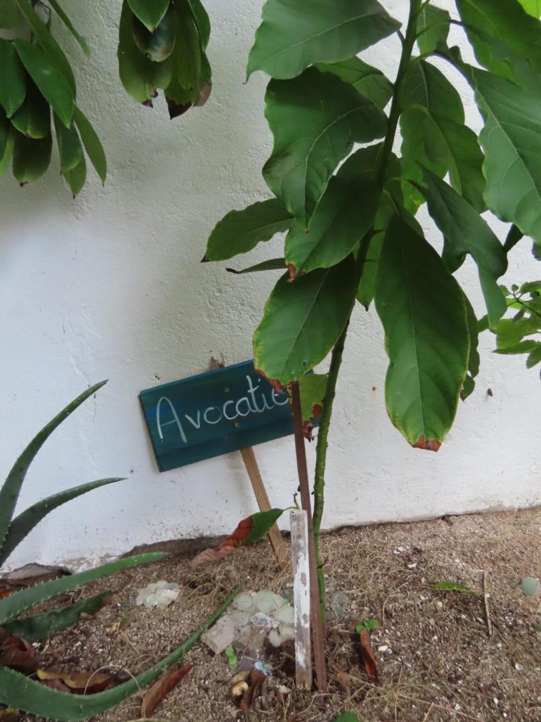 Akunamatata Guest House Grand Case Zewnętrze zdjęcie